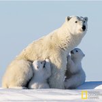 ★★★★★★추위에강한 <b>생물</b> 베스트★★★★★★★