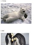 <b>추위</b>에 강한동물 베스트3...