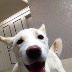 키우고싶<b>닼</b>ㅋㅋㅋㅋㅋ