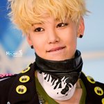 <b>젤로</b>가그럴리가ㅠㅠ