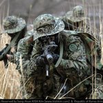 <실화>96년 강릉 무장공비 침투사건 경험자의 글...