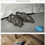 ★★★기발한<b>실내</b>용슬리퍼★★★