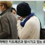 근데 <b>이사진</b>은정말 탑이랑지디같은데..