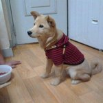 우리로또,,,,,자랑?ㅋㅋㅋㅋ