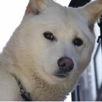 제 친구가 게이인것 같습니다4