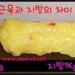 근육과 <b>지방의</b>차이