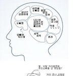 {펌}<b>판</b>하는 <b>여자</b>들의 뇌구조 ^^