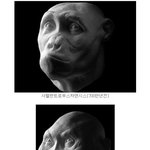 ★★인간진화론 ★★★★★ㅁ8