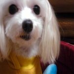 ☆★☆★<개판>제동생을소개합니다.☆★☆★