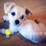 [사진有] 사고뭉치 변태동거남과의 일상 ㅠ.ㅠ
