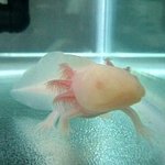 [귀욤샷有]  내 <b>우파</b>루파를 소개합니다.