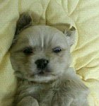 너므너므 사랑스러운 우리 꿍이를 소개할게요~