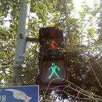 ★★황당한신호등(사진有)★★