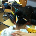 ★★★(사진有)방학<b>보충</b> 장시간자습의 폐해 ★★★
