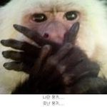 아나 이런 소심녀야
