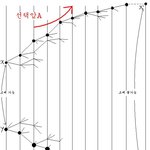 ★☆★☆진화론적 창조론 비판★☆★☆