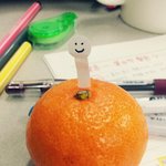 사진有인나)바나나추가)☆★☆★고3여고생의 귤아트!!★☆★☆