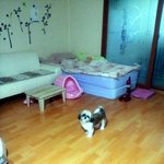 (사진多有)우리집 기요미들 개판 사진대방출ㅋ