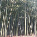 24 남 나홀로 내일로 여행기~~사진 有