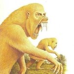 <b>오크</b>년들 다들어와봐