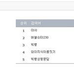 빅뱅팬카페의 검색<b>유입</b>분석 통계결과