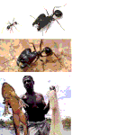 ★★★★★★★★★초대형 <b>동물</b>!!!★★★★★★★★★