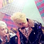 탑뇽