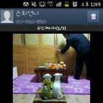 슈미 둥이도 <b>제사</b>를 지냈답니다~