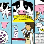 ★★세상에 우유가 뭐이럼 ? 대박  나만몰랐네★★