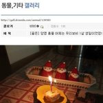 길지만<b>빵</b>터지는미친댓글46ㅋㅋㅋㅋㅋㅋㅋㅋㅋㅋㅋㅋㅋㅋㅋㅋㅋ