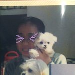 [개판] 13살 노인犬 (사람나이로 91세) 아롱옹 이에요 ~~...