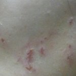 (사진有 ) 억울함을 호소합니다ㅠㅠ 길더라도 한번만 읽어주세요 ...