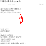 븉빂샤월에잎캉픎인슾소원바나엔젤...등등