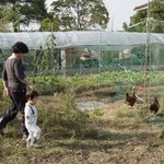 계란은 비세척란이 좋아요. 