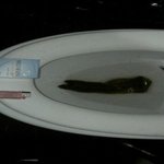 사진有혐오..진정한<b>변사체</b>...아멘...