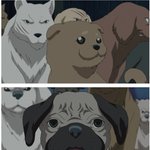 @@요즘 유희왕 근황!!