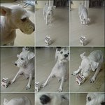 개판이여요★★우리집애기자랑★★