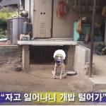 탑 <b>엽사</b> 만들어봤어요