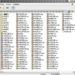 남동생의 비밀폴더 <b>vs</b> 누나의비밀폴더