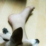 [개판] ★★★★★싸가지 17번째 <b>생축</b>. 204개월 살았어 !!!...