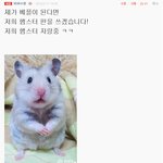 [동물판/쥐판/햄스터판] ☆★☆강아지처럼 귀여움 돋는 햄스터 <b>베베</b>...