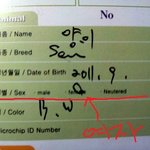 약간의19)★☆울집 고양이가 암컷인줄 알았는데 수컷이라니...☆★