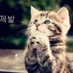 <b>남치</b>니 맞긴하나..?