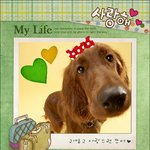 사진<b>꾸미기</b>의 대혁명!! 무한한 세계가 펼쳐진다