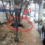 사진有)아저씨들의 불편한진실