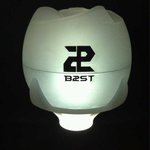 로즈봉 색깔 있잖<b>아영</b>
