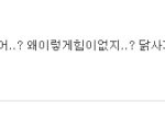 ★★★댓글놀이댜555555★★★