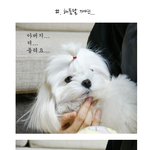 [개사진多] 해를 품은 달 <b>재연</b> 놀이 삼매경