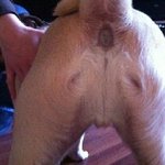 무신론자들에게...ㅡㅡ