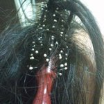 사진잇음! 머리가 롤빗에엉켰어요..ㅠㅠㅠㅠ